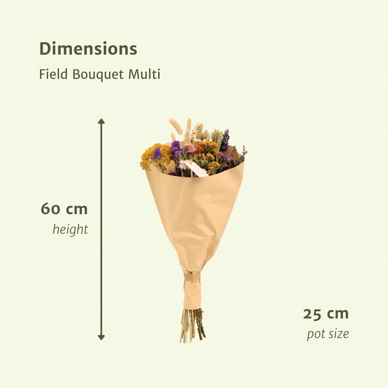 Droogbloemen Veldboeket Multi - Ø25 - ↨60cm