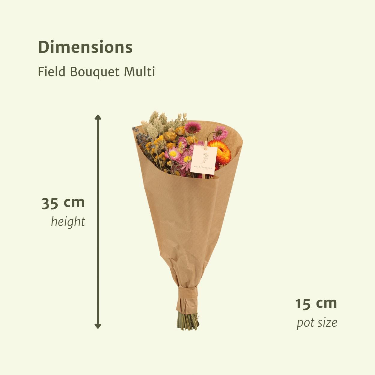 Droogbloemen Veldboeket Multi - Ø15 - ↨35cm