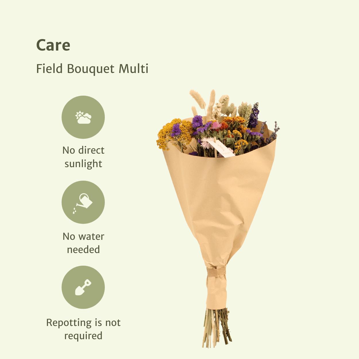 Droogbloemen Veldboeket Multi - Ø25 - ↨60cm