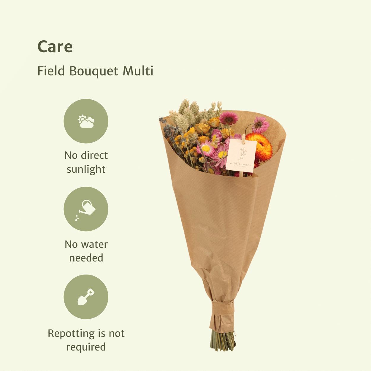 Droogbloemen Veldboeket Multi - Ø15 - ↨35cm