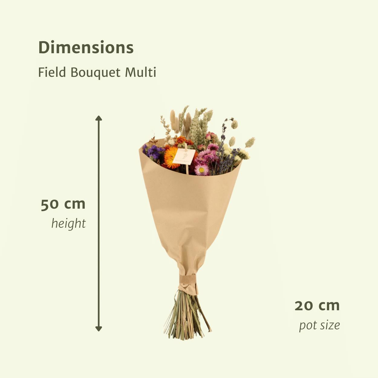 Droogbloemen Veldboeket Multi - Ø20 - ↨50cm