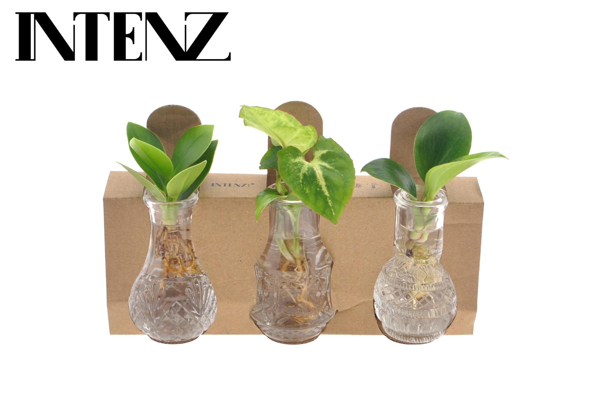 Mix In Berlijns Glas - Ø7 ↕10