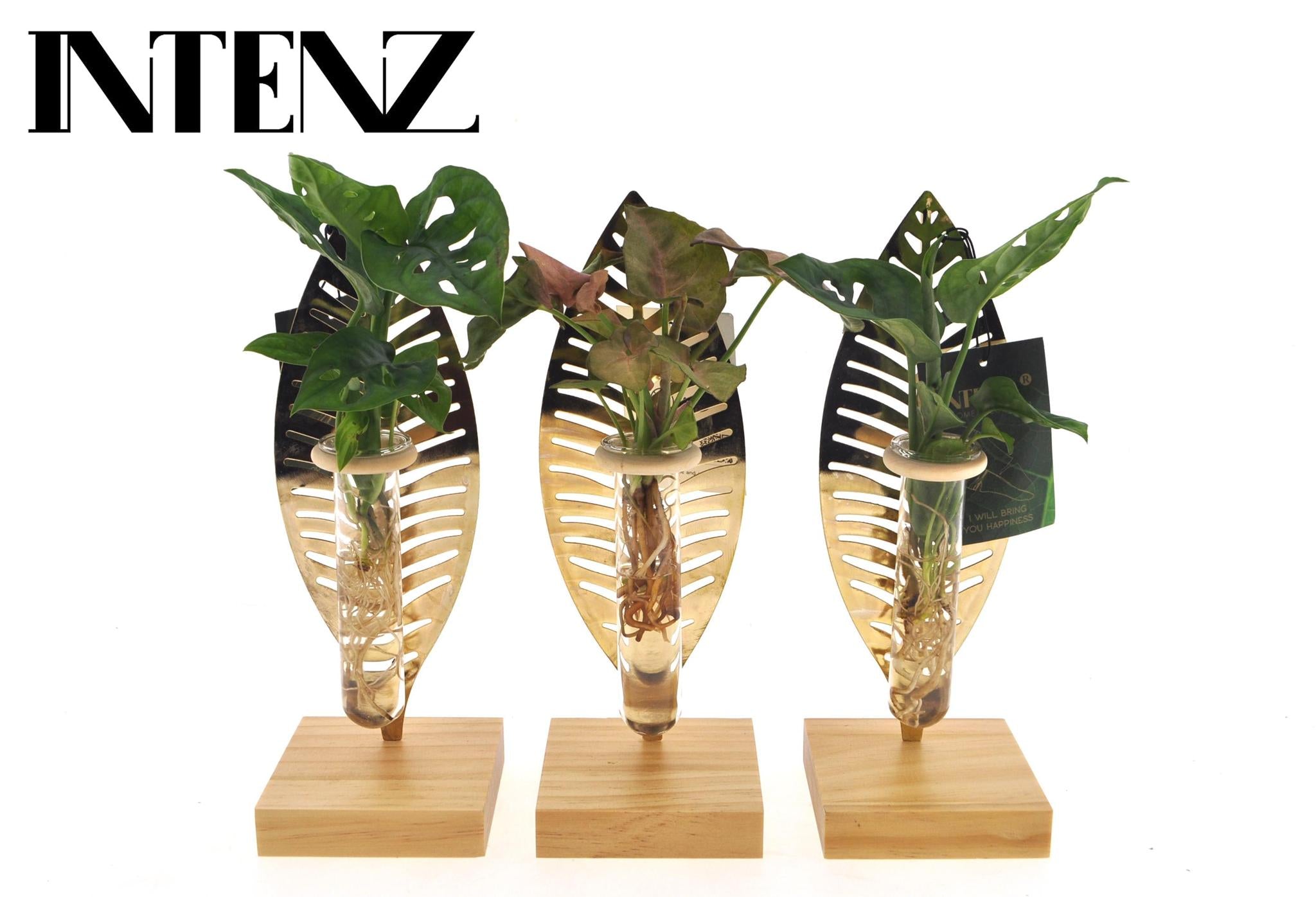 Mix In Verona Glas - Levertijd: 24 Uur - Ø7 ↕10