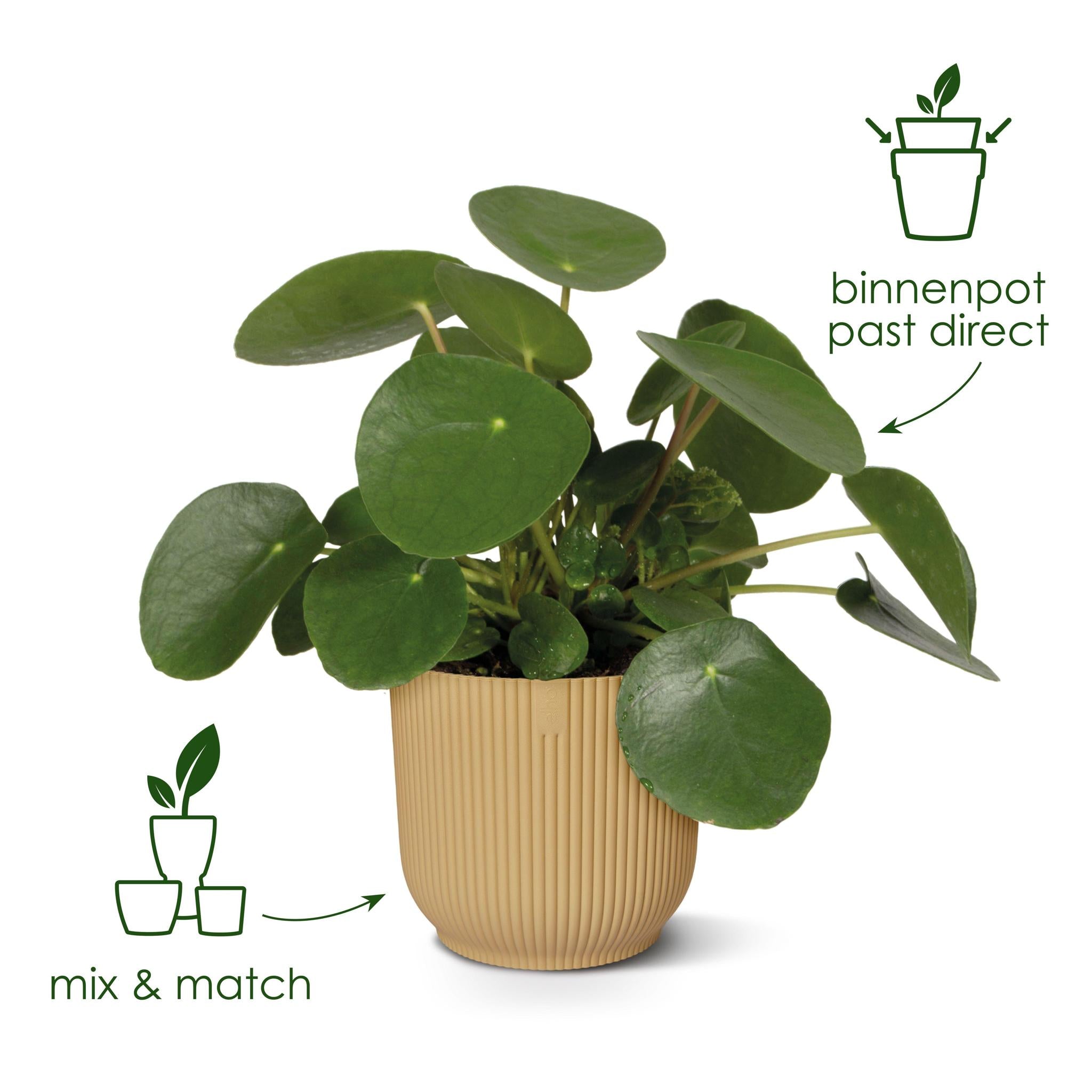 Topf elho Vibes Fold Round grün - D18 x H17