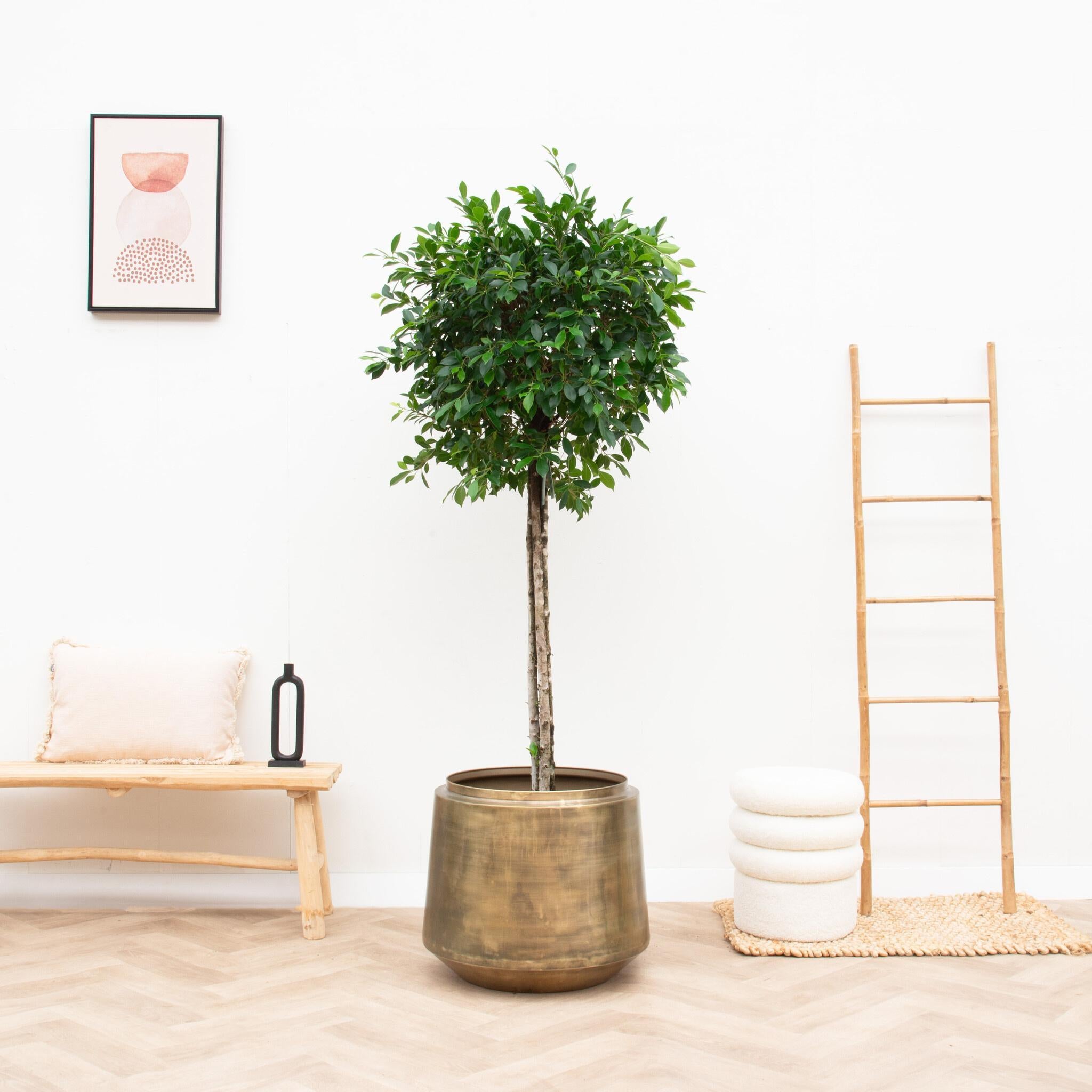 Topf Indigo Vintage Gold D33 x H31