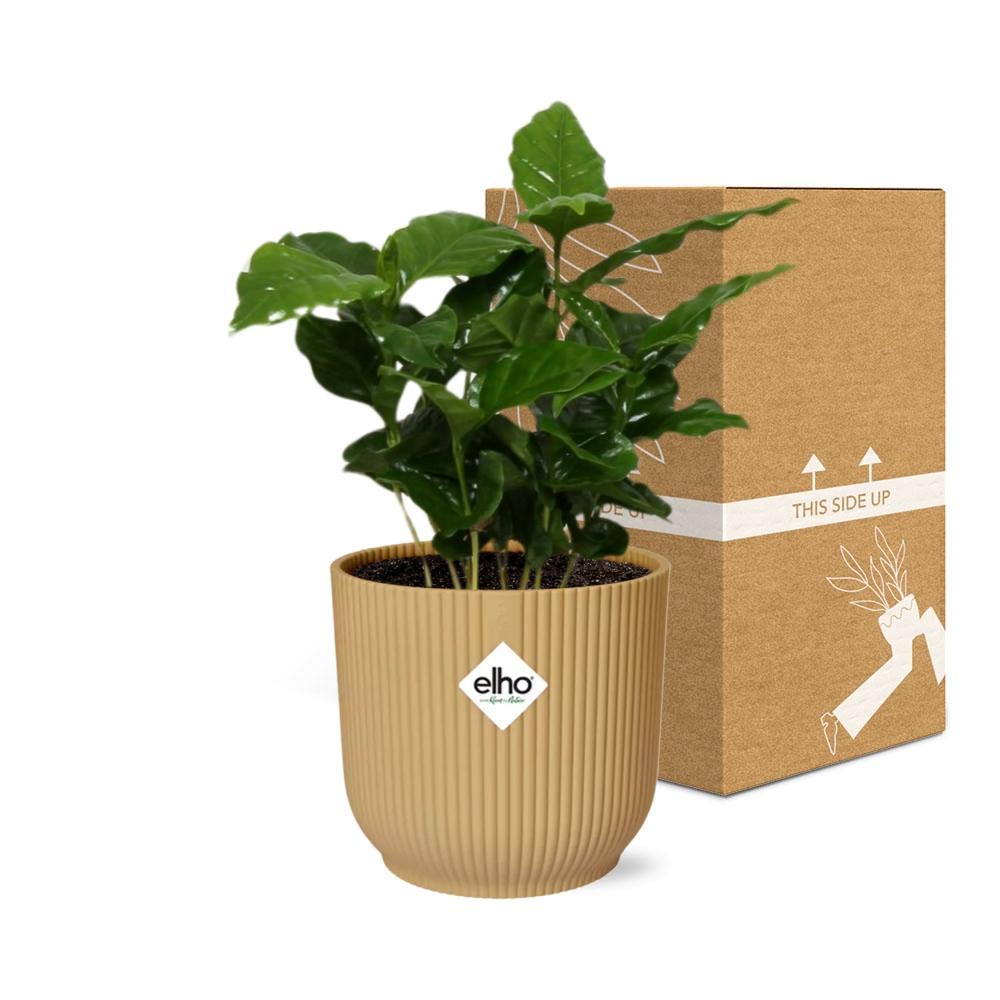 Koffie Arabica in ELHO Vibes Fold 14cm geel