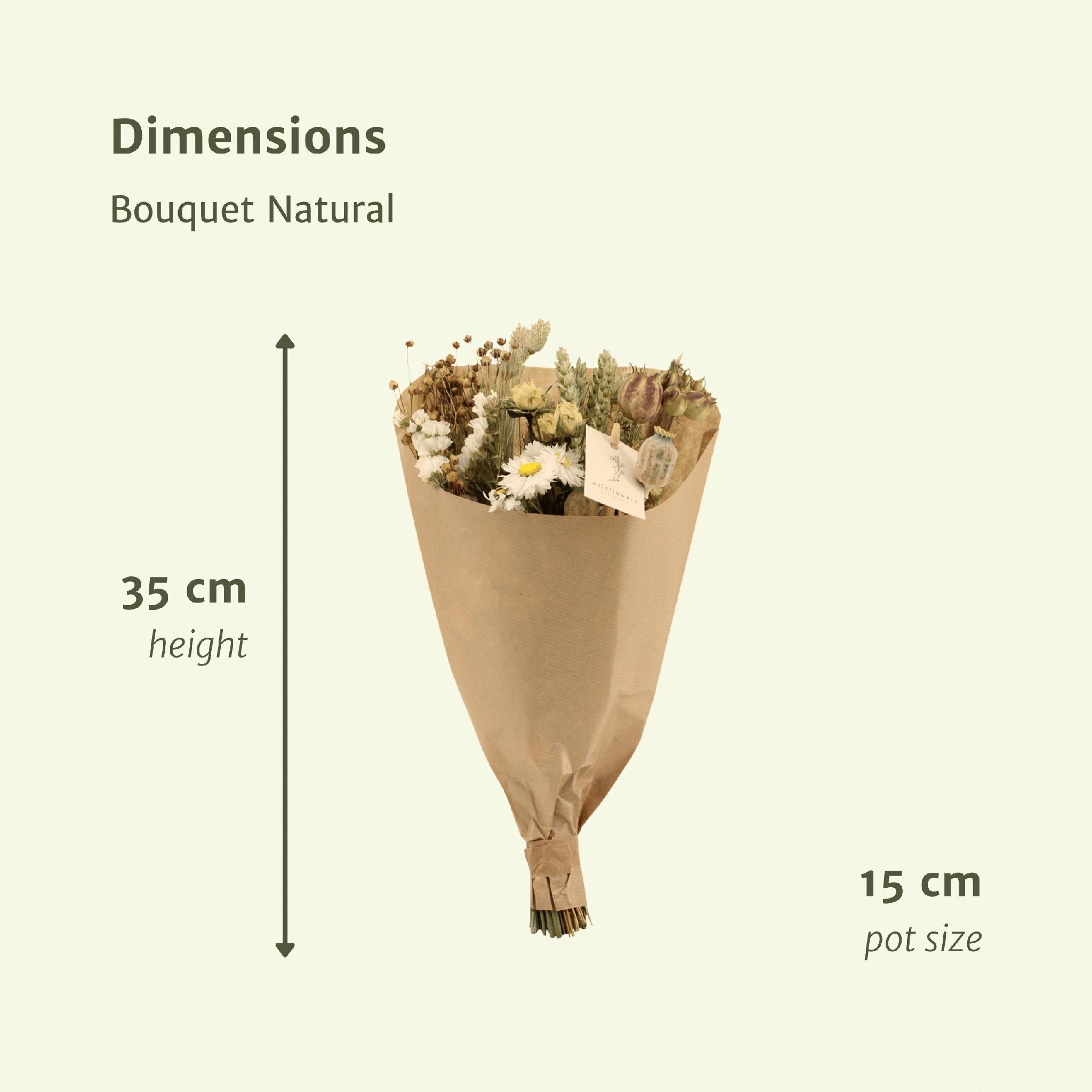 Droogbloemen Veldboeket Naturel - Ø15 - ↨35cm