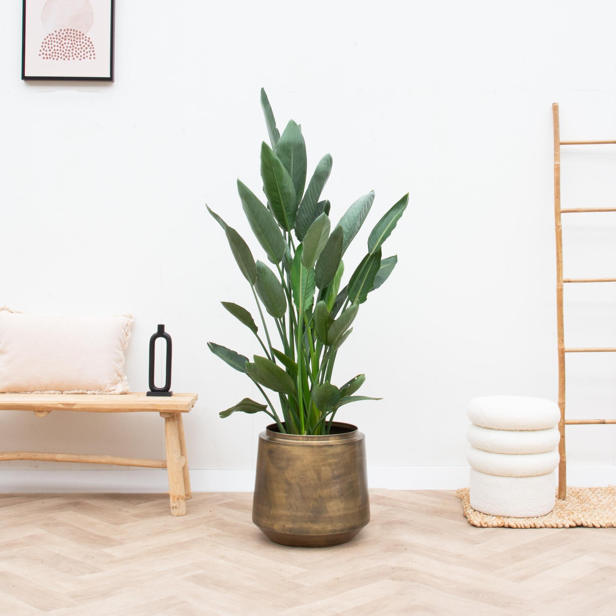 Topf Indigo Vintage Gold D33 x H31