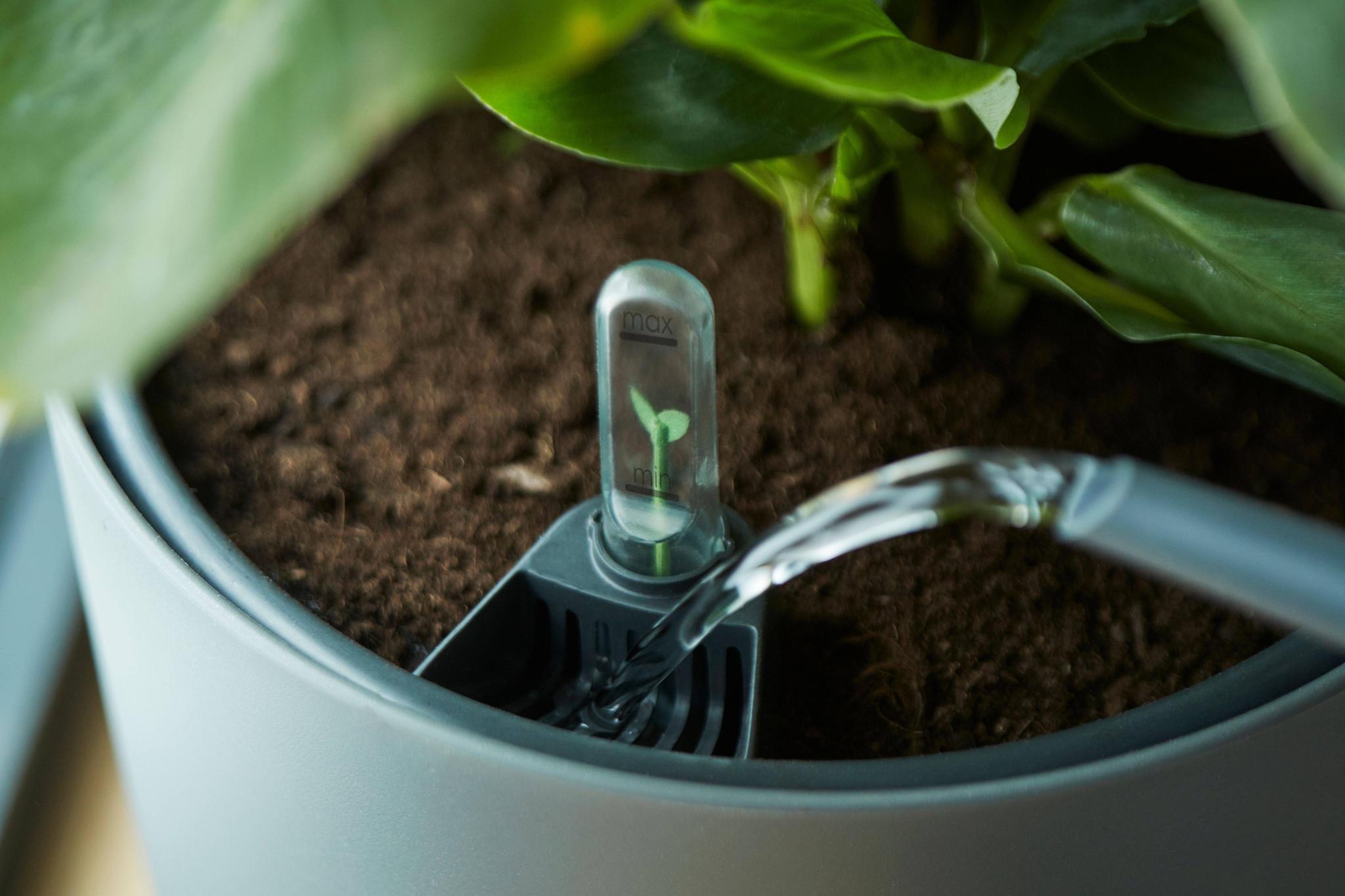 Zelfbewaterend inzetstuk - 24 cm