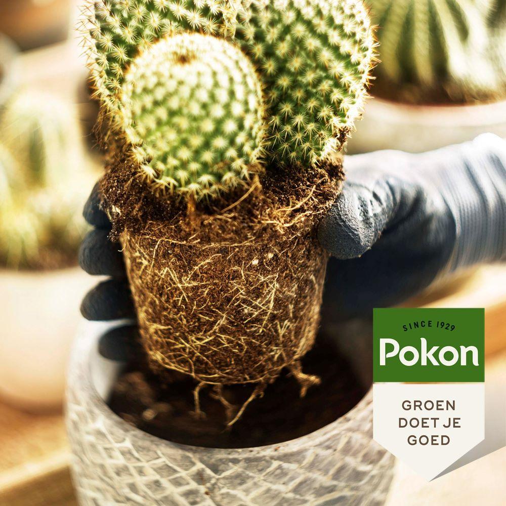 Pokon cactus &amp; vetplant - 5L - Potgrond